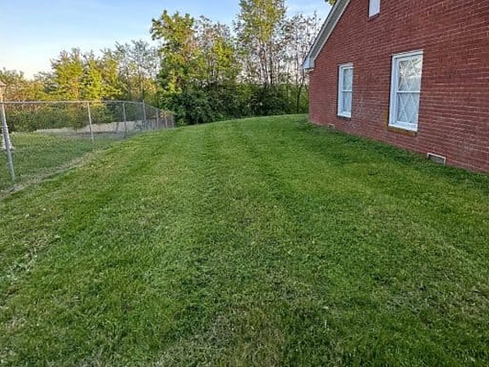 After: backyard with leaf litter