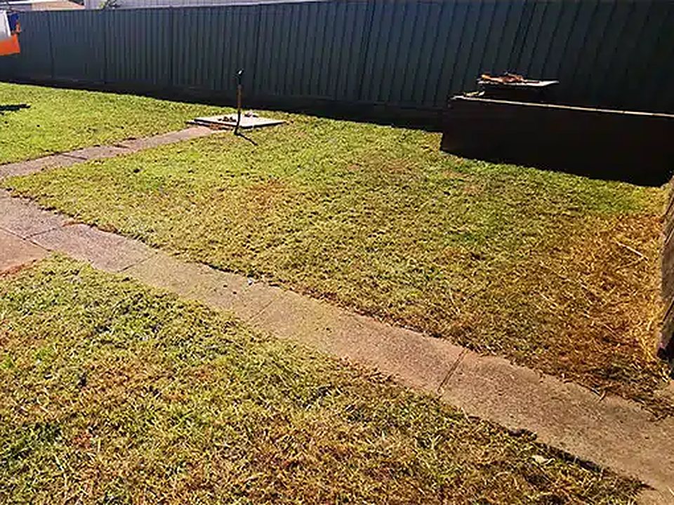 After: backyard lawn mow and edge