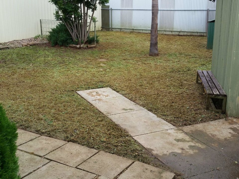 After: overgrown backyard mowed and cleared