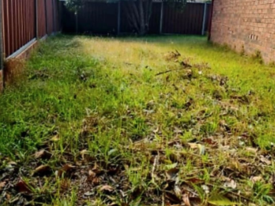 Before: side yard